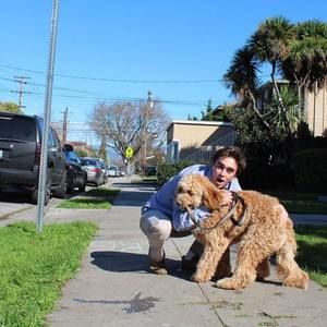 Meet your Posher, Ryan